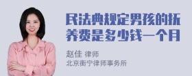 民法典规定男孩的抚养费是多少钱一个月