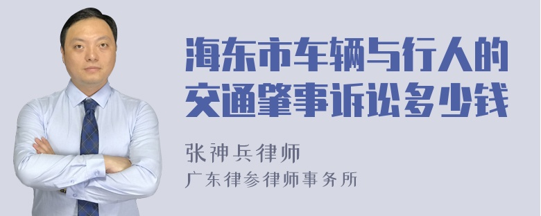 海东市车辆与行人的交通肇事诉讼多少钱