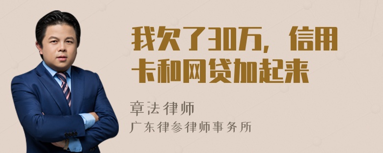 我欠了30万，信用卡和网贷加起来