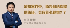 离婚案件中，原告向法院提供伪证，会有什么处罚？？