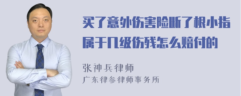 买了意外伤害险断了根小指属于几级伤残怎么赔付的