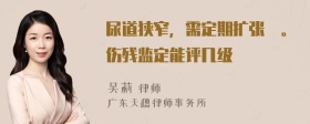 尿道狭窄，需定期扩张朮。伤残监定能评几级