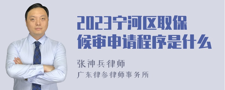 2023宁河区取保候审申请程序是什么