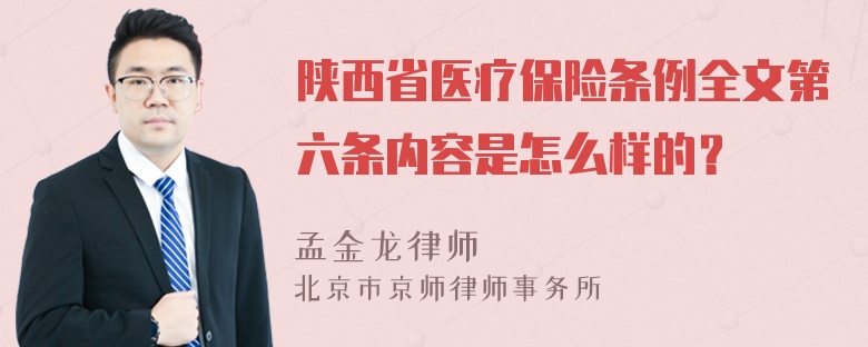 陕西省医疗保险条例全文第六条内容是怎么样的？