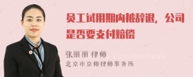 员工试用期内被辞退，公司是否要支付赔偿