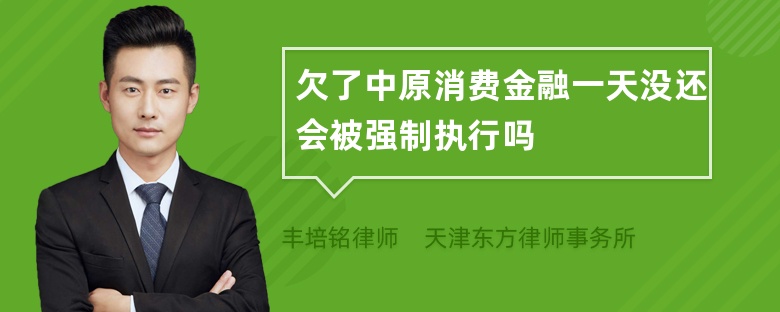 欠了中原消费金融一天没还会被强制执行吗