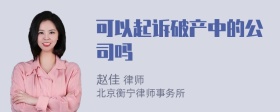 可以起诉破产中的公司吗