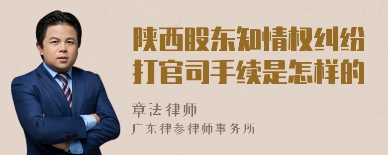 陕西股东知情权纠纷打官司手续是怎样的