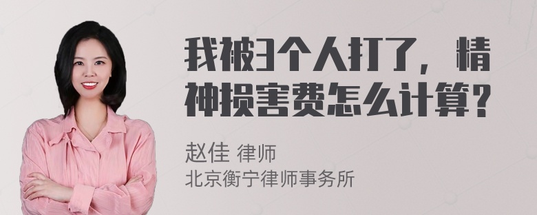 我被3个人打了，精神损害费怎么计算？