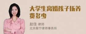 大学生离婚孩子抚养费多少