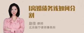 l离婚债务该如何分割