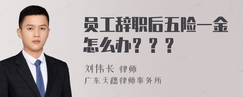 员工辞职后五险一金怎么办？？？