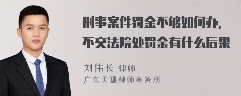 刑事案件罚金不够如何办，不交法院处罚金有什么后果