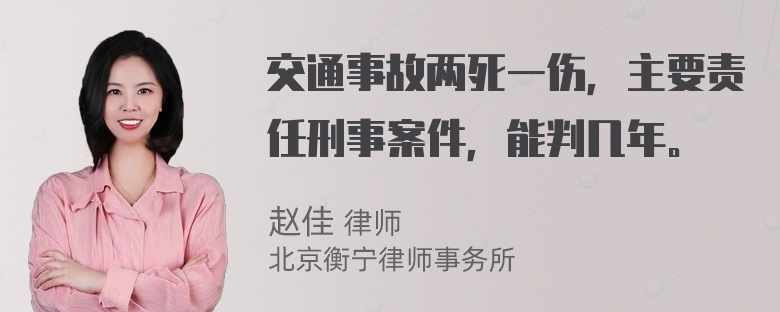 交通事故两死一伤，主要责任刑事案件，能判几年。