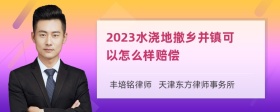 2023水浇地撤乡并镇可以怎么样赔偿