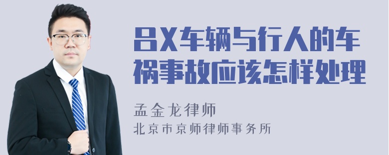 吕X车辆与行人的车祸事故应该怎样处理