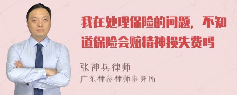 我在处理保险的问题，不知道保险会赔精神损失费吗