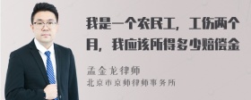 我是一个农民工，工伤两个月，我应该所得多少赔偿金