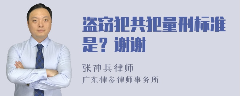 盗窃犯共犯量刑标准是？谢谢