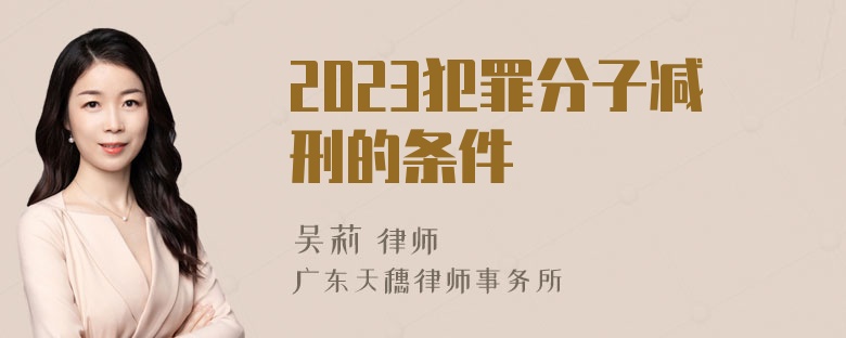 2023犯罪分子减刑的条件