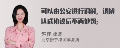 可以由公安进行调解，调解达成协议后不再处罚；