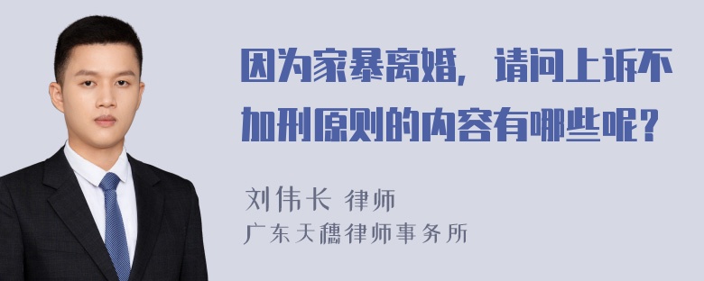 因为家暴离婚，请问上诉不加刑原则的内容有哪些呢？