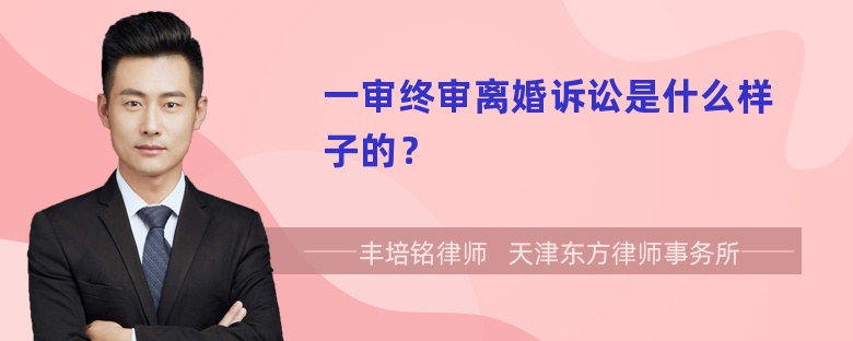 一审终审离婚诉讼是什么样子的？