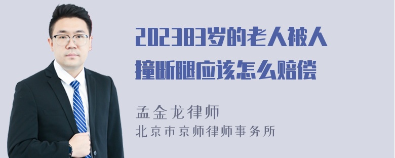 202383岁的老人被人撞断腿应该怎么赔偿