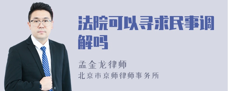 法院可以寻求民事调解吗