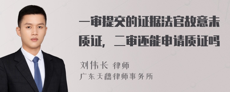 一审提交的证据法官故意未质证，二审还能申请质证吗