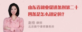 山东省就业促进条例第二十四条是怎么规定的？