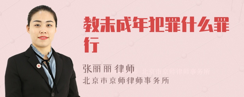 教未成年犯罪什么罪行