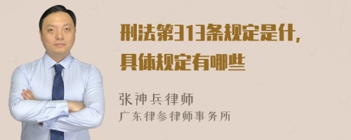 刑法第313条规定是什,具体规定有哪些