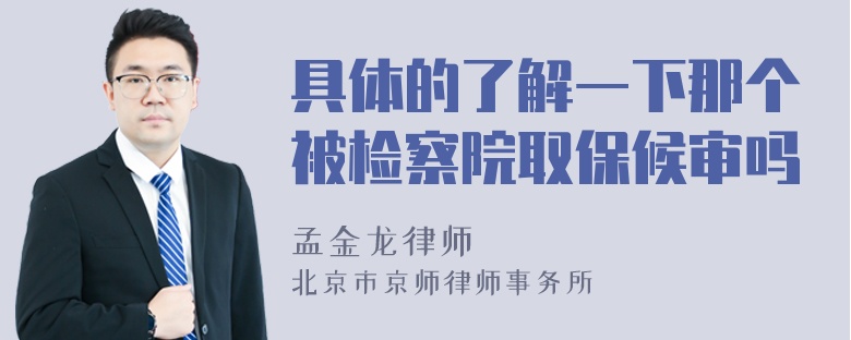 具体的了解一下那个被检察院取保候审吗