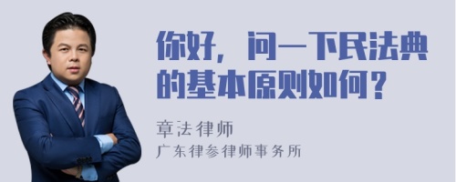 你好，问一下民法典的基本原则如何？