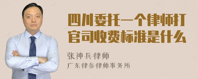 四川委托一个律师打官司收费标准是什么