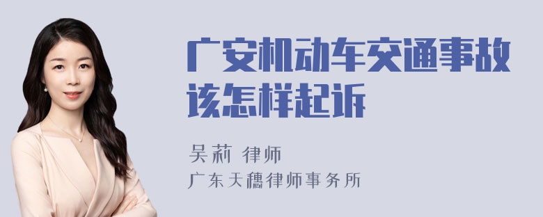 广安机动车交通事故该怎样起诉