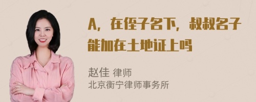 A，在侄子名下，叔叔名子能加在土地证上吗