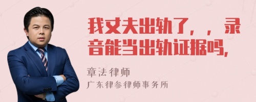 我丈夫出轨了，，录音能当出轨证据吗，