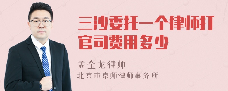 三沙委托一个律师打官司费用多少