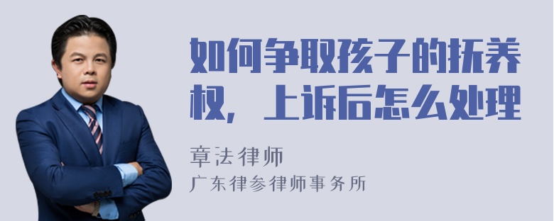 如何争取孩子的抚养权，上诉后怎么处理