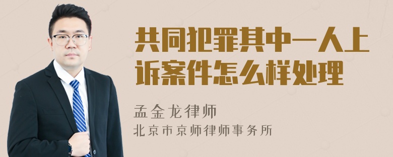 共同犯罪其中一人上诉案件怎么样处理