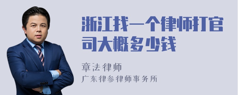 浙江找一个律师打官司大概多少钱