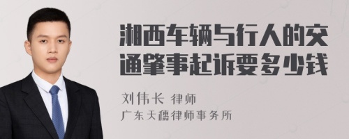 湘西车辆与行人的交通肇事起诉要多少钱