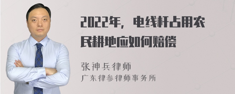 2022年，电线杆占用农民耕地应如何赔偿