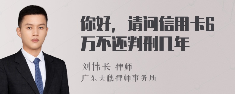 你好，请问信用卡6万不还判刑几年