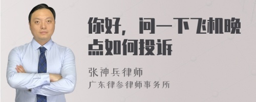 你好，问一下飞机晚点如何投诉