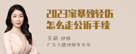 2023家暴致轻伤怎么走公诉手续