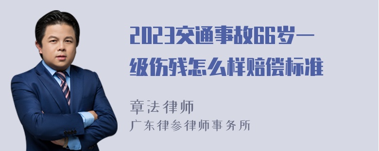 2023交通事故66岁一级伤残怎么样赔偿标准