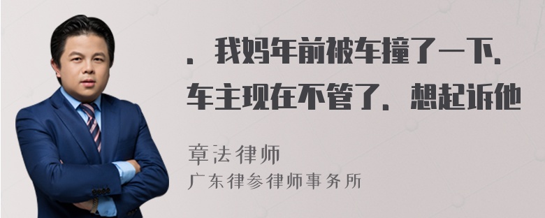 ．我妈年前被车撞了一下．车主现在不管了．想起诉他